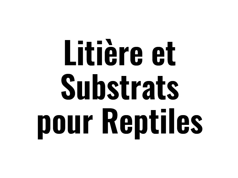 Litiere et Substrats Reptiles